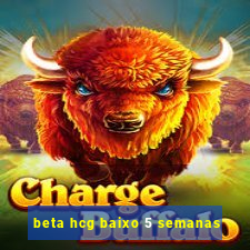 beta hcg baixo 5 semanas